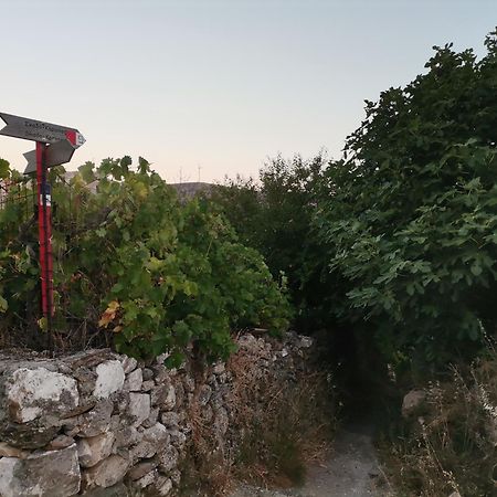 Naxos Mountain Retreat - Tiny House Build On Rock Apartment Koronos Bagian luar foto